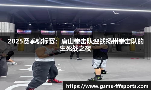2025赛季锦标赛：唐山拳击队迎战扬州拳击队的生死战之夜